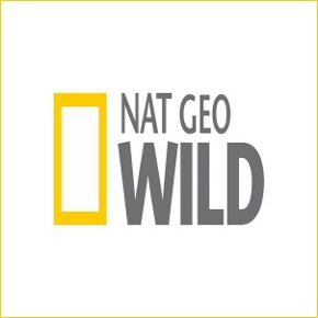Dzika Rosja na antenie National Geographic Wild